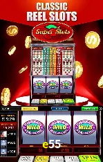 Seasonal Promotions e55