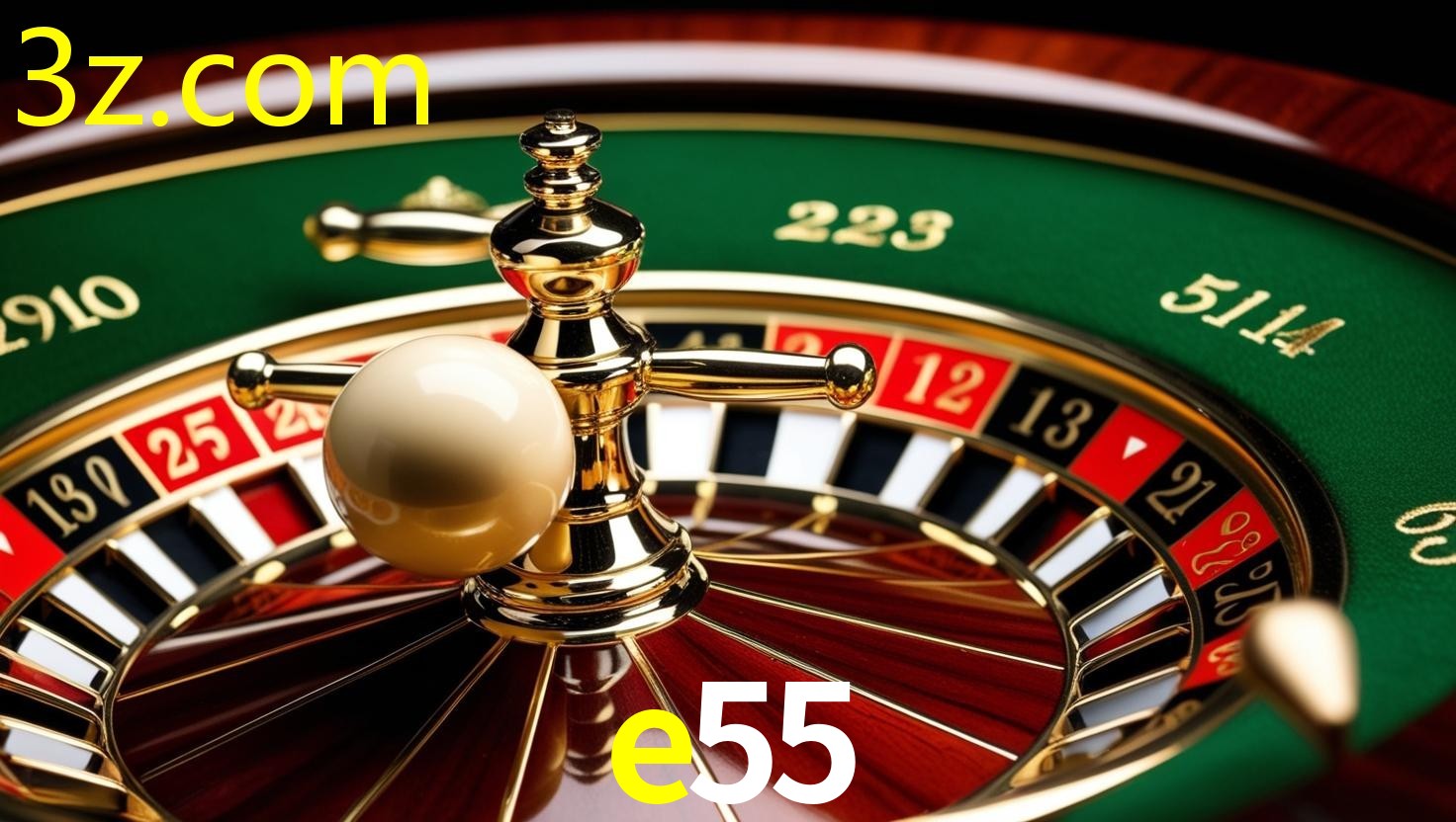 E55